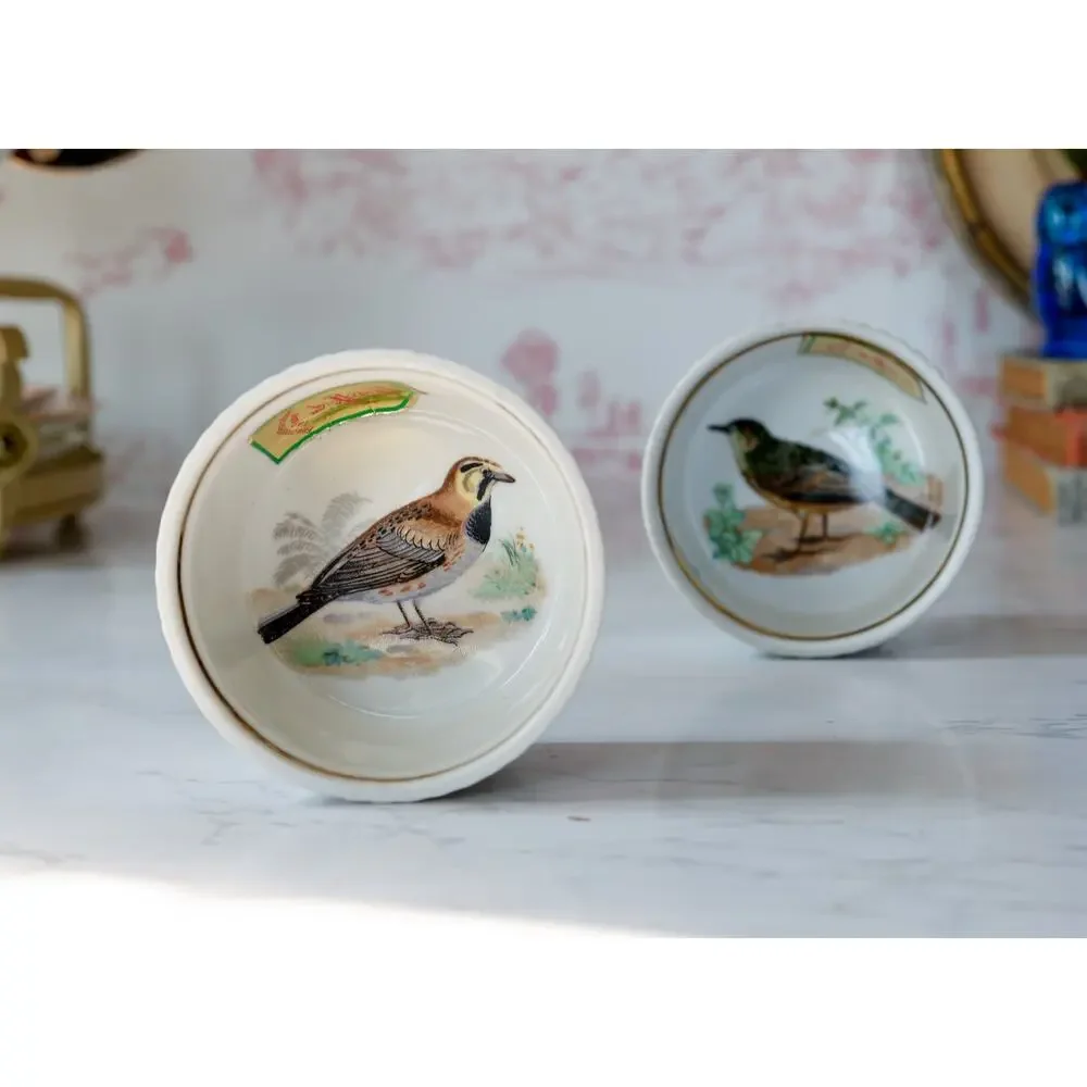 VTG Louis Lourioux France Bird Ramekins Set of 2 Cottage Farmhouse Bakeware Bowl